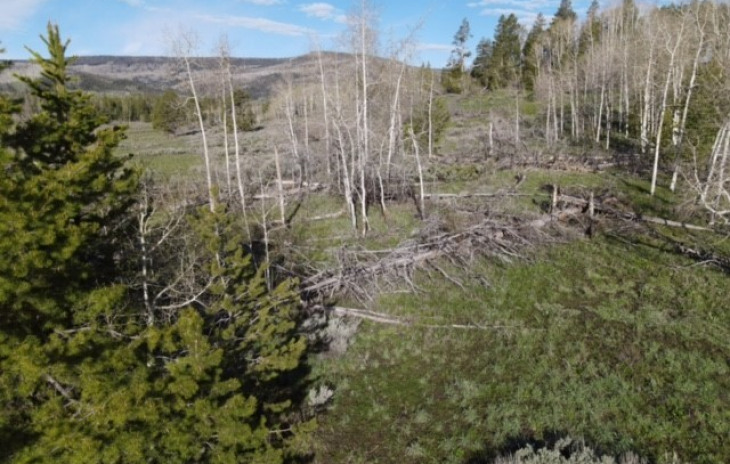 33572 Seneca Trail Photo