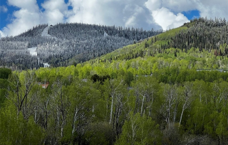 23090 Schussmark Trail Photo