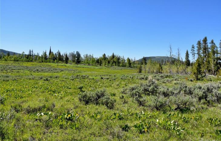 Lot 206 Wiffle Tree Trail Photo