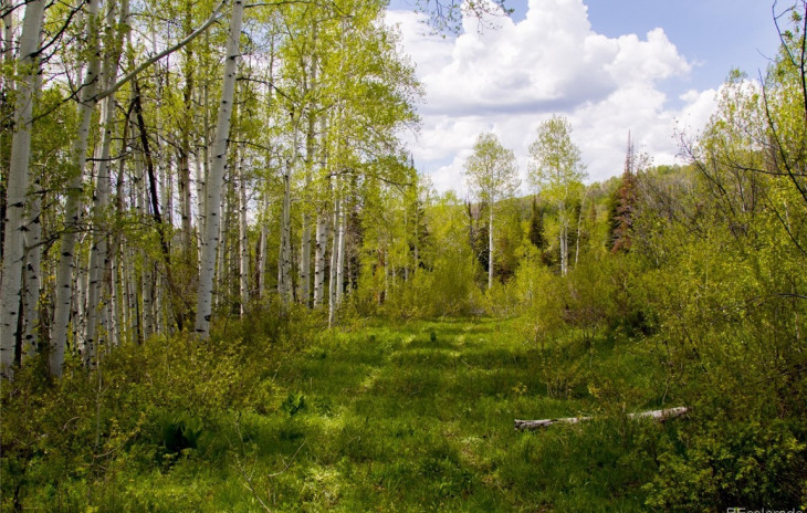 0 County Road 80 Photo