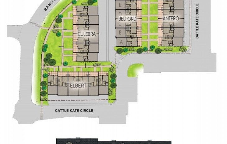 2508 CattlE KatE CirclE Photo