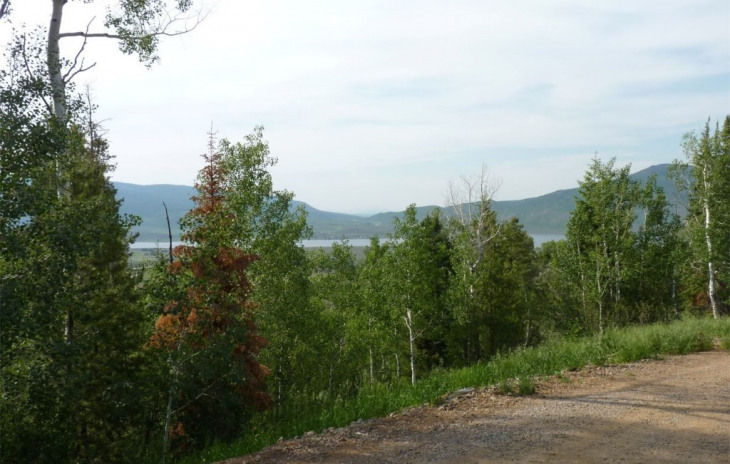 05TBD Youngs Creek Way Photo