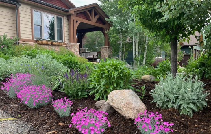 27522 Silver Spur Street Photo