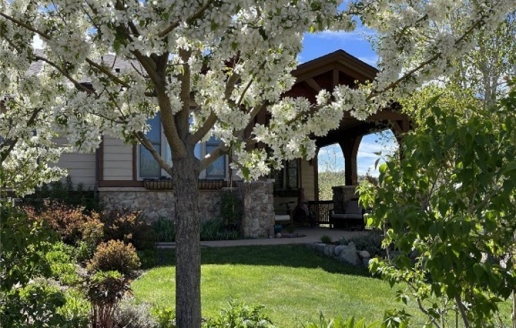 27522 Silver Spur Street Photo