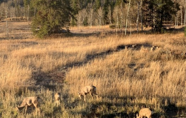 21185 County Road 16 Photo