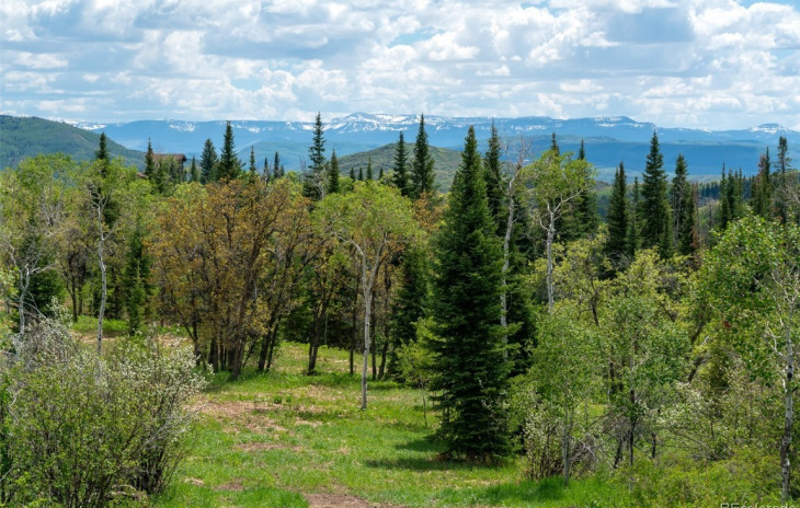 County Road 41 Photo