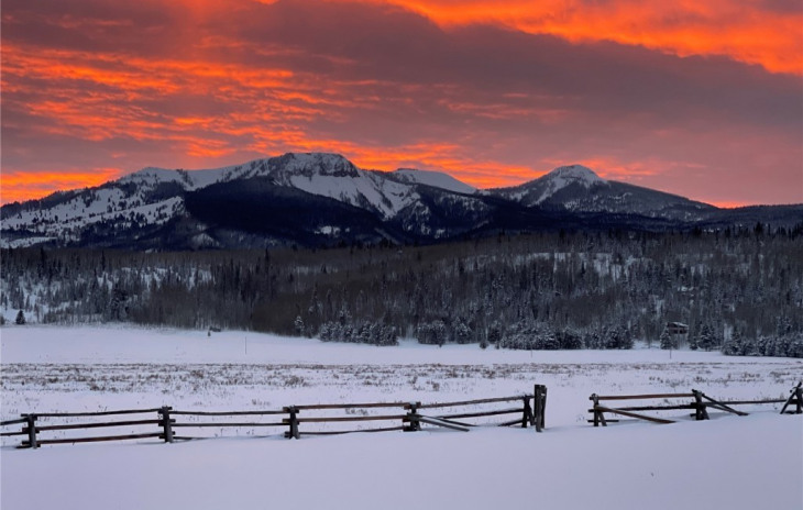 59005 Button Willow Drive Photo