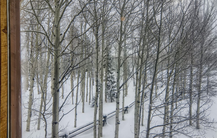 59005 Button Willow Drive Photo