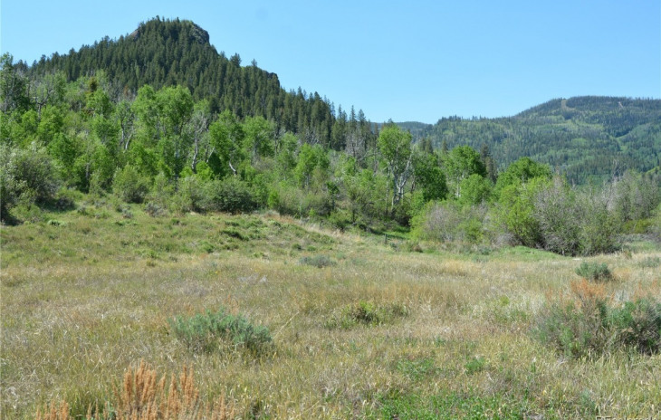 23510 Stagehorn Trail Photo