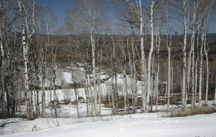 28255 Valley View Lane Photo