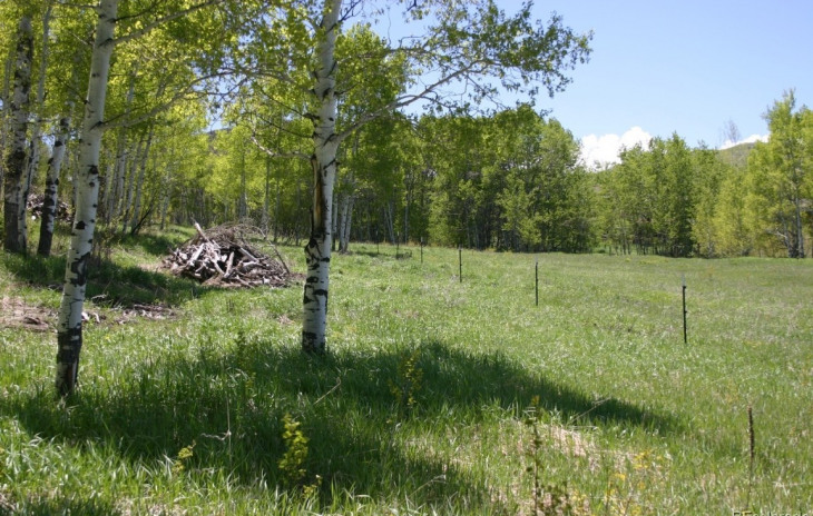 28255 Valley View Lane Photo