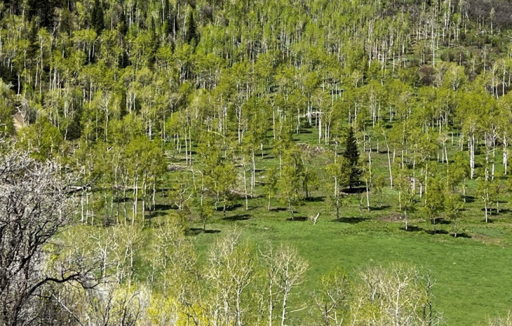 43593 County Road 46 Photo