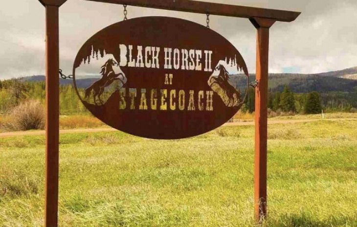 - Lot 66 Black Horse Ii Photo