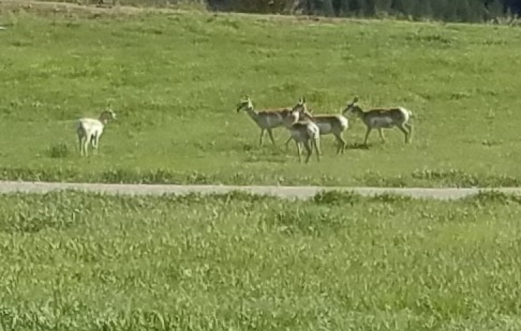 39955 S Valley Drive Photo