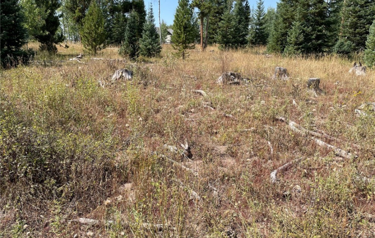 26865 Placer Place Photo