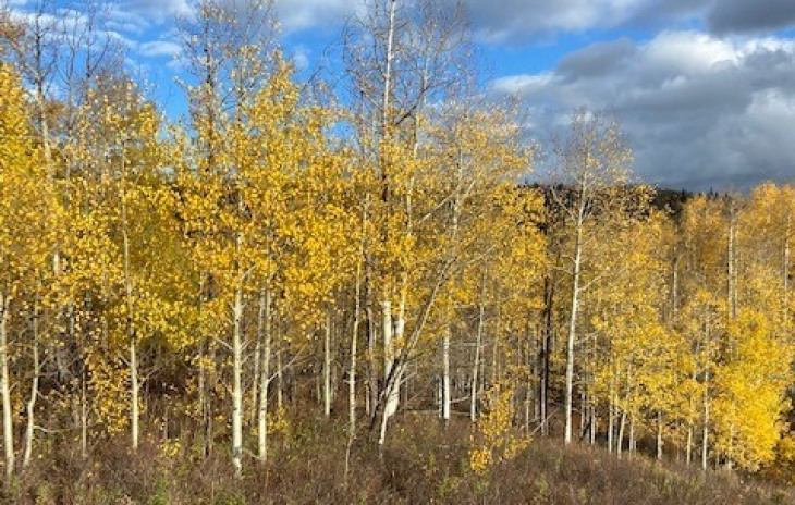 26925 Beaver Canyon Drive Photo