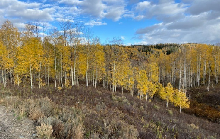 26925 Beaver Canyon Drive Photo