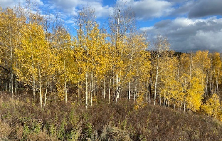 26925 Beaver Canyon Drive Photo