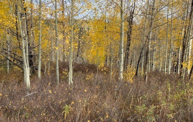 26925 Beaver Canyon Drive Photo