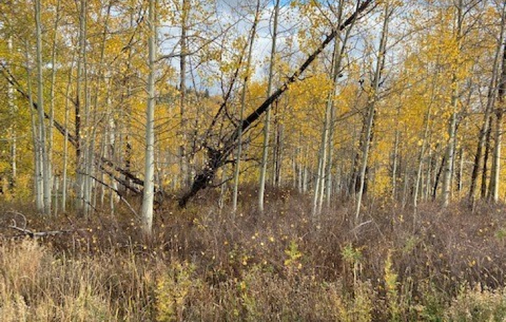 26925 Beaver Canyon Drive Photo