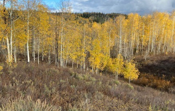 26925 Beaver Canyon Drive Photo