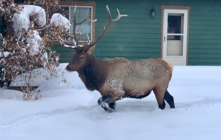 3035 Chinook Lane Photo