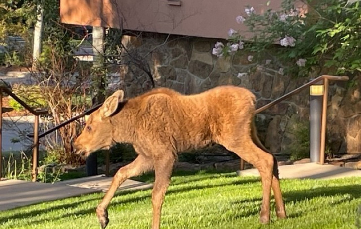 2720 Eagleridge Drive Photo