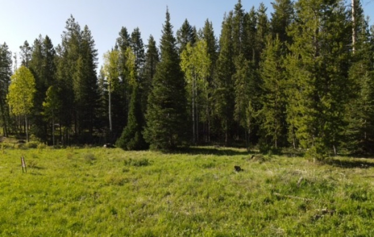 33585 Surrey Trail Photo