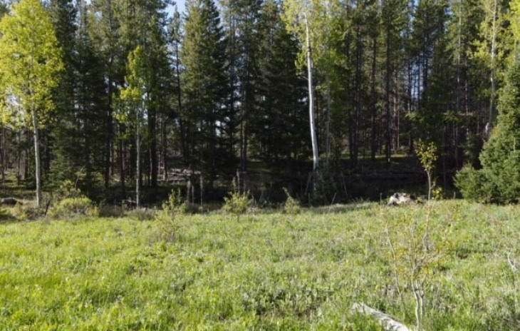 33585 Surrey Trail Photo