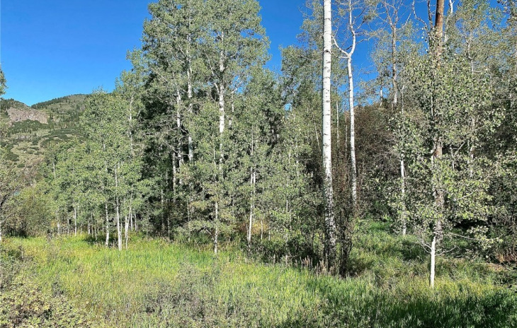31090 Fallen Falcon Trail Photo