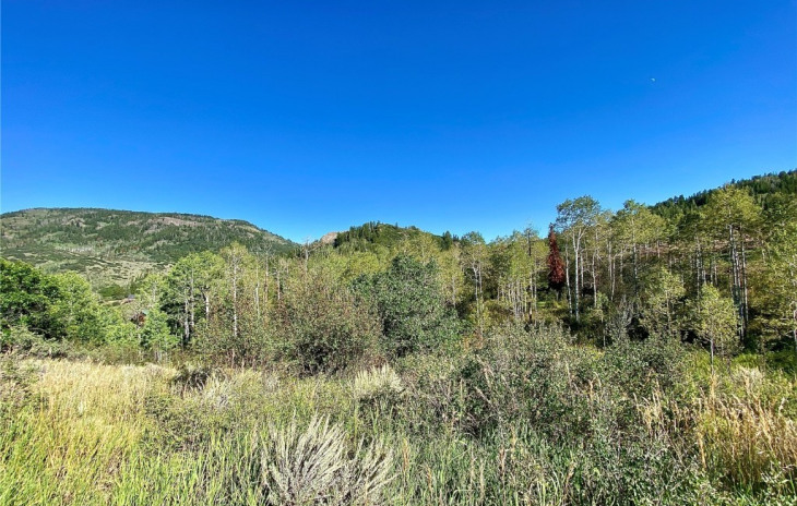 31090 Fallen Falcon Trail Photo