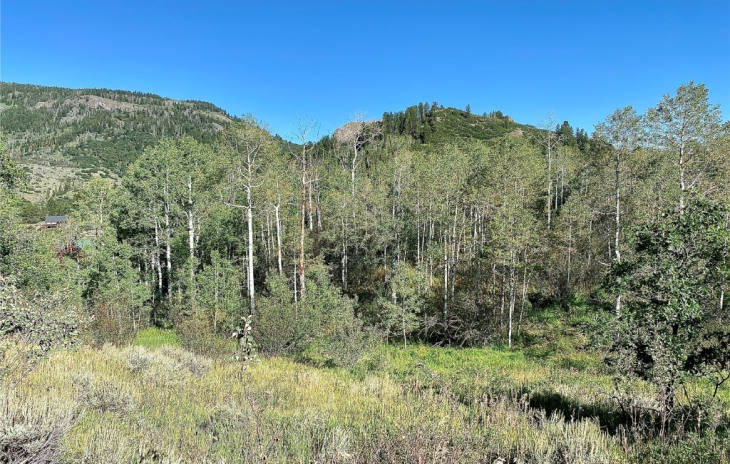 31090 Fallen Falcon Trail Photo