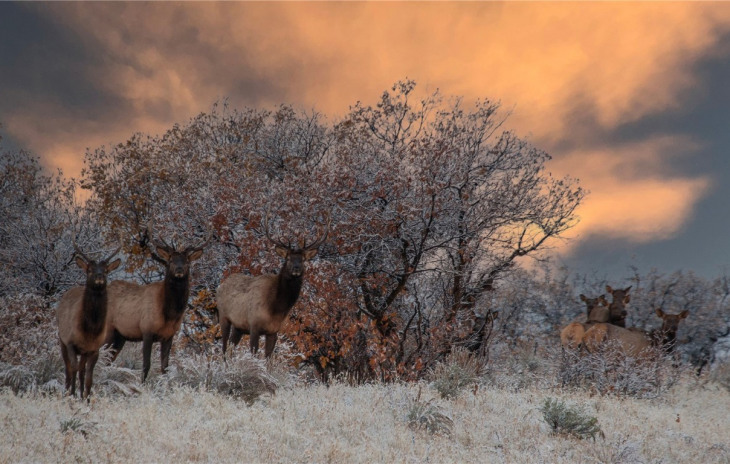 34320 Panorama Drive Photo