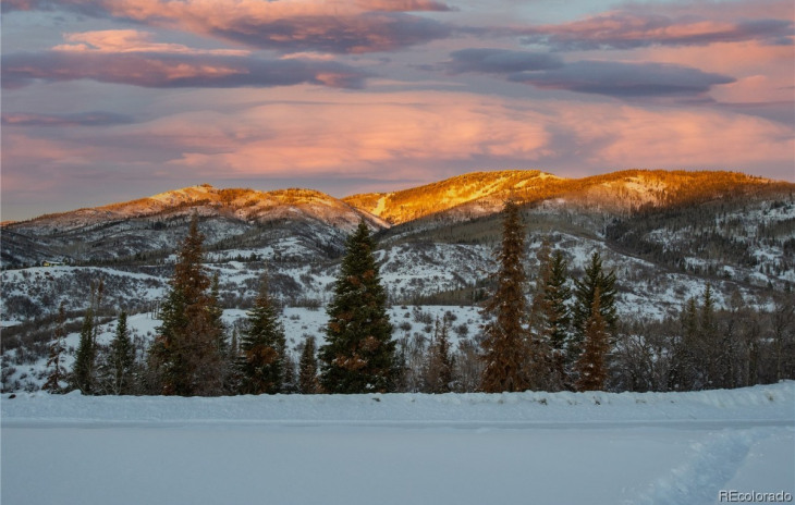 34320 Panorama Drive Photo