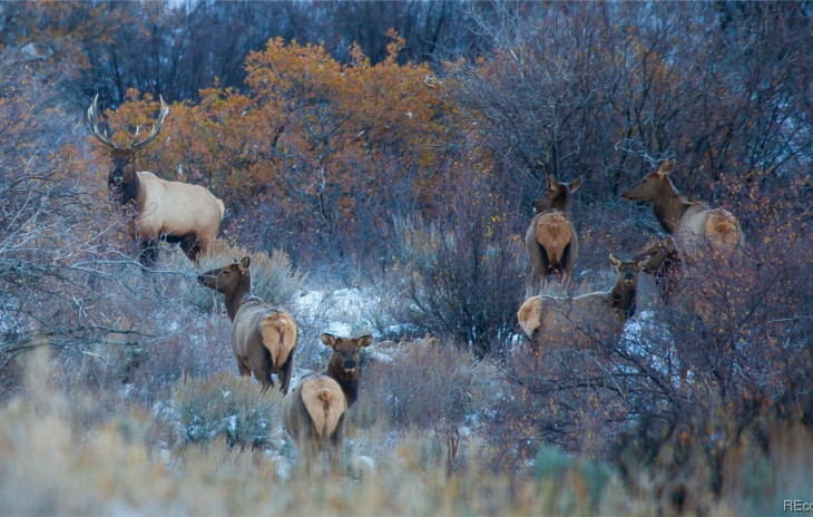 34320 Panorama Drive Photo