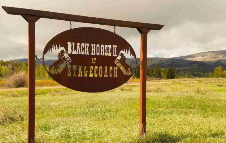 Lot 51 Black Horse Ii At Stagecoach Photo