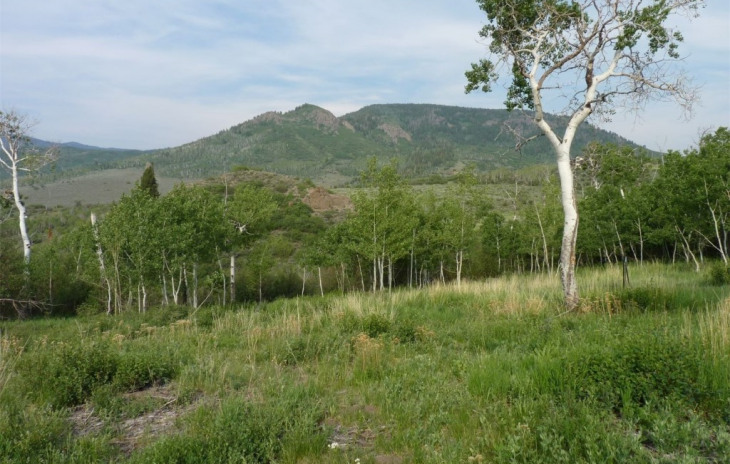 04TBD Youngs Creek Way Photo