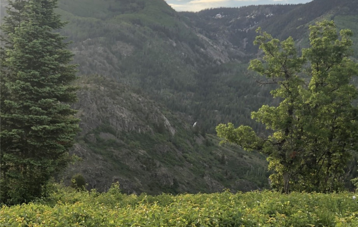 550 Huckleberry Photo