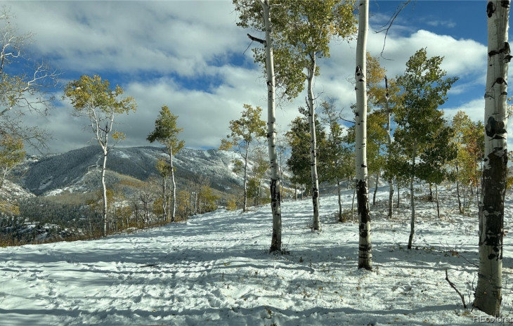 550 Huckleberry Photo