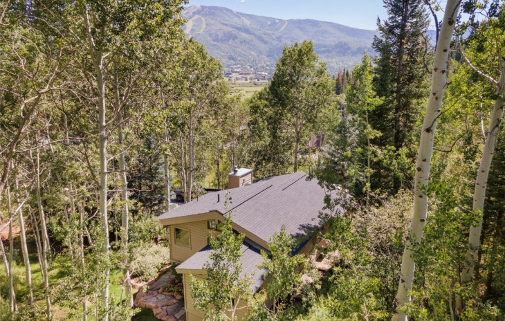 36869 Tree Haus Drive Photo