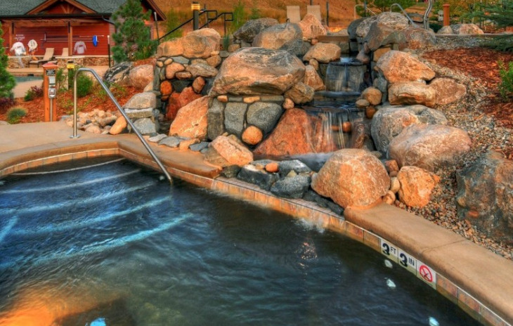 2458 CattlE KatE CirclE Photo