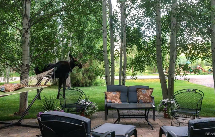 1525 Meadow Lane Photo