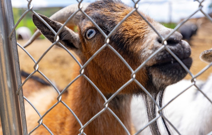 33885 County Road 43a Photo