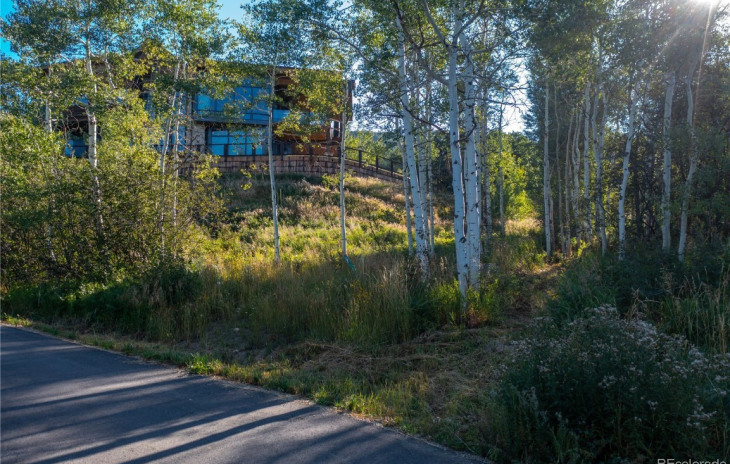 0000 Alpine Drive Photo