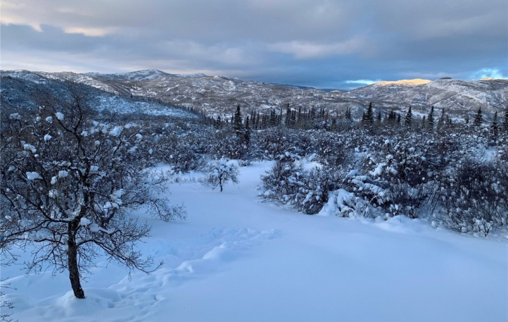 40305 Valley Drive Photo