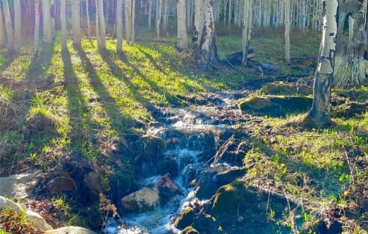 27300 Beaver Creek Trail Photo