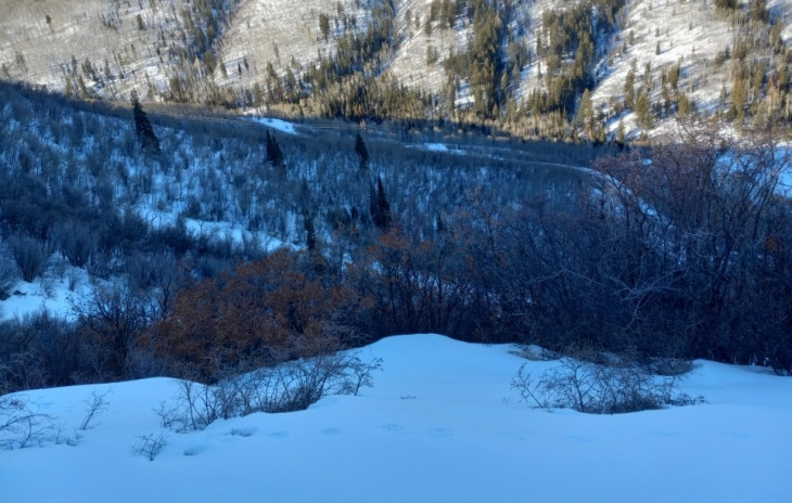 County Road 27 Photo