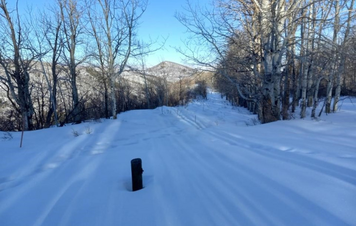 County Road 27 Photo