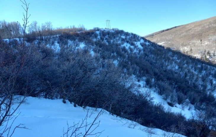 County Road 27 Photo