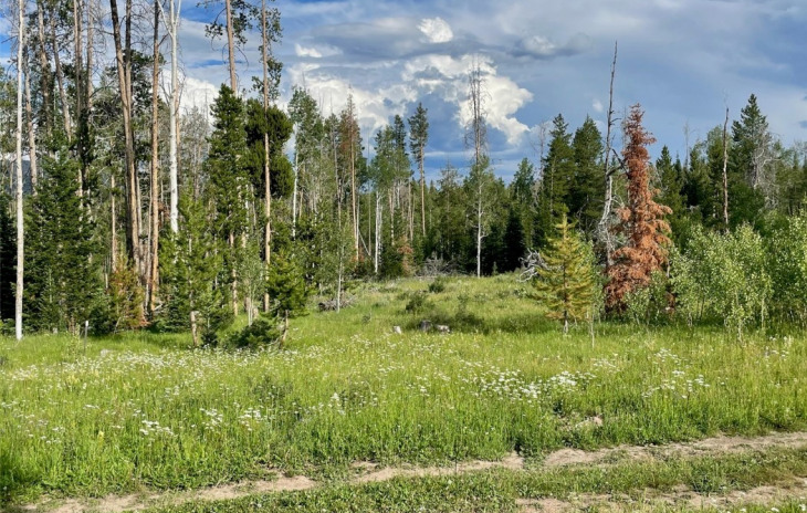 Shay Way Photo